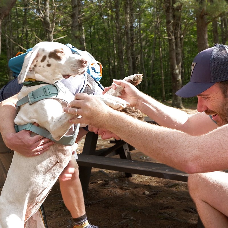 A man helps a white dog with brown spots stand on its hind legs in a forested area near a picnic table.