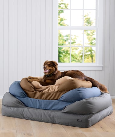 L.L.Bean Dog Beds