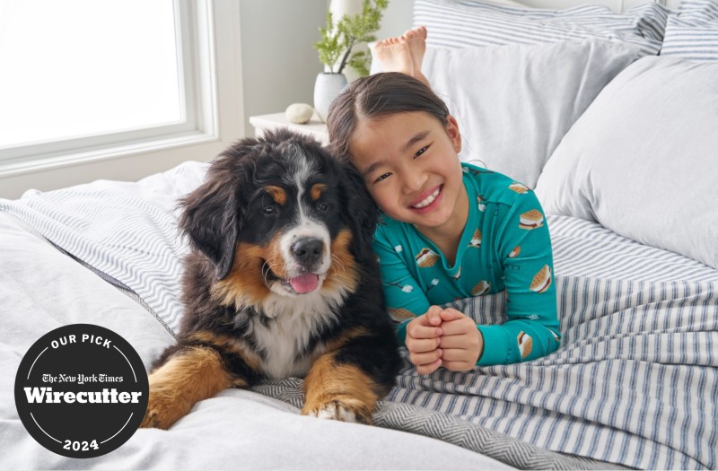 A child in pajamas lounging on a cozy bed along side a puppy.