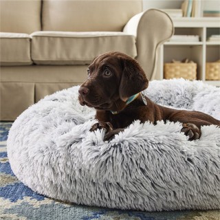 Puppy laying on a dog bed