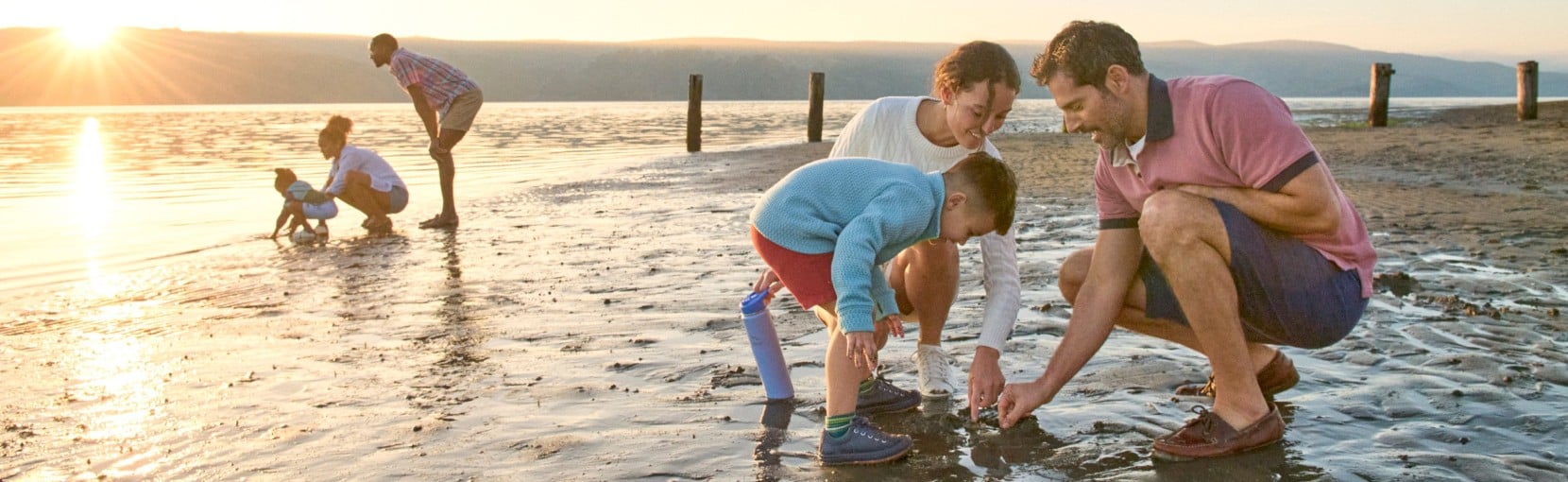 Adults and children crouch on a beach at low tide at sunset, examining shells while water glints behind them.
