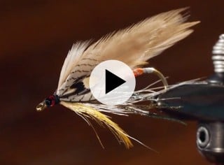 Close-up of a detailed fishing fly with feathers and threads, attached to a vise and a play video icon.
