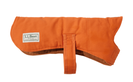 Blaze Orange Field Coat for dogs.