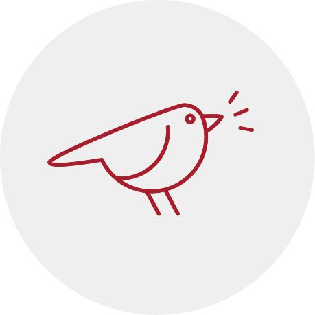 Red line illustration of a bird singing