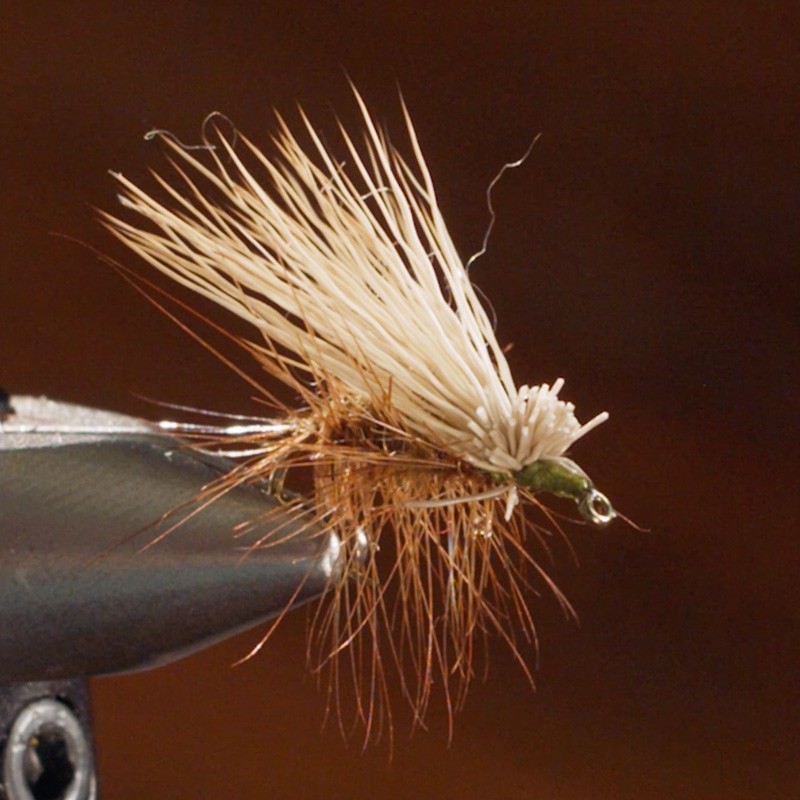A detailed, hand-tied fishing fly with brown and white fibers, held by a metal clamp.