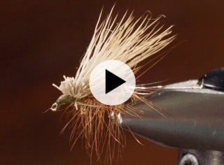 Close-up of a fishing fly with a white feathery top and brown body, held by a metal clamp and a play video icon.