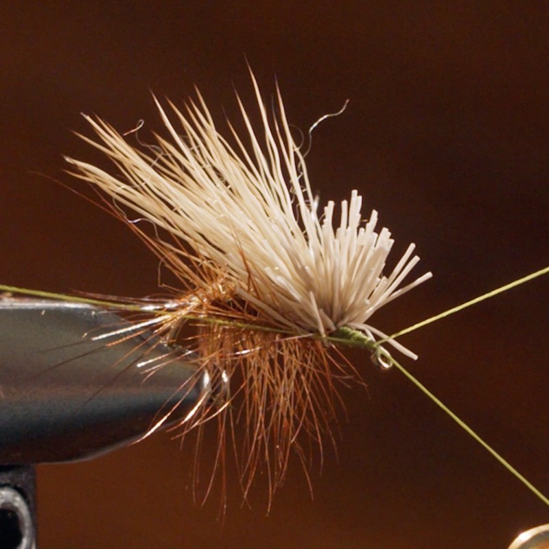 A fly fishing lure with brown and white fibers, held by a metal clamp.