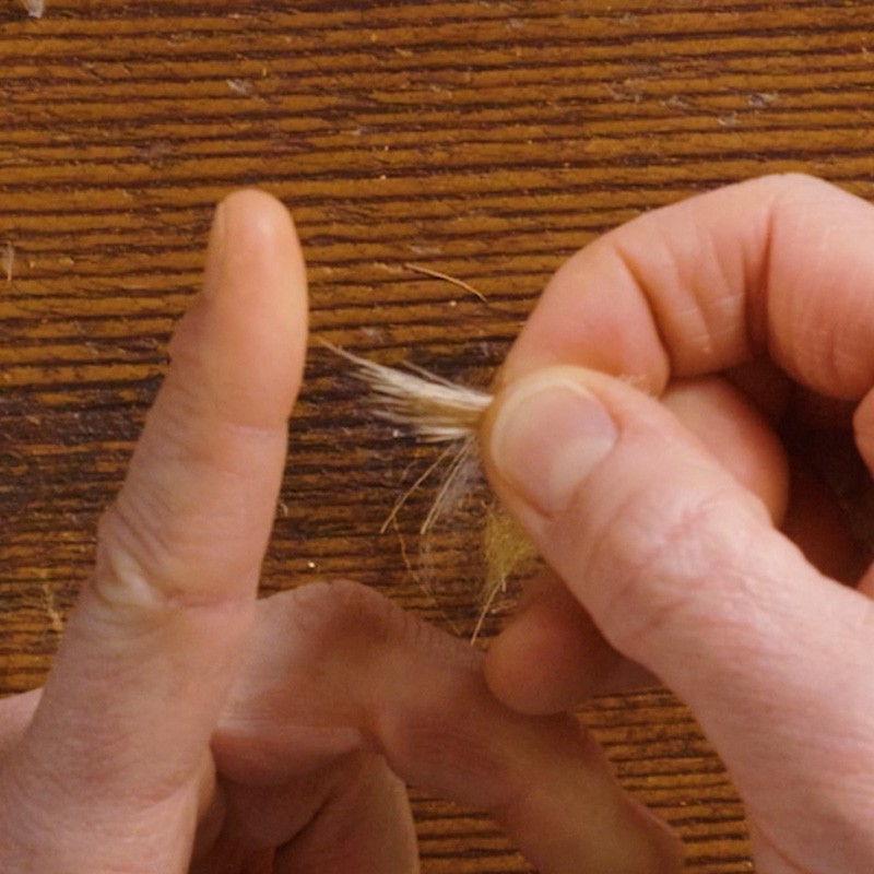 Hands demonstrating how to spin wool fibers into yarn using a drop spindle on a wooden table.