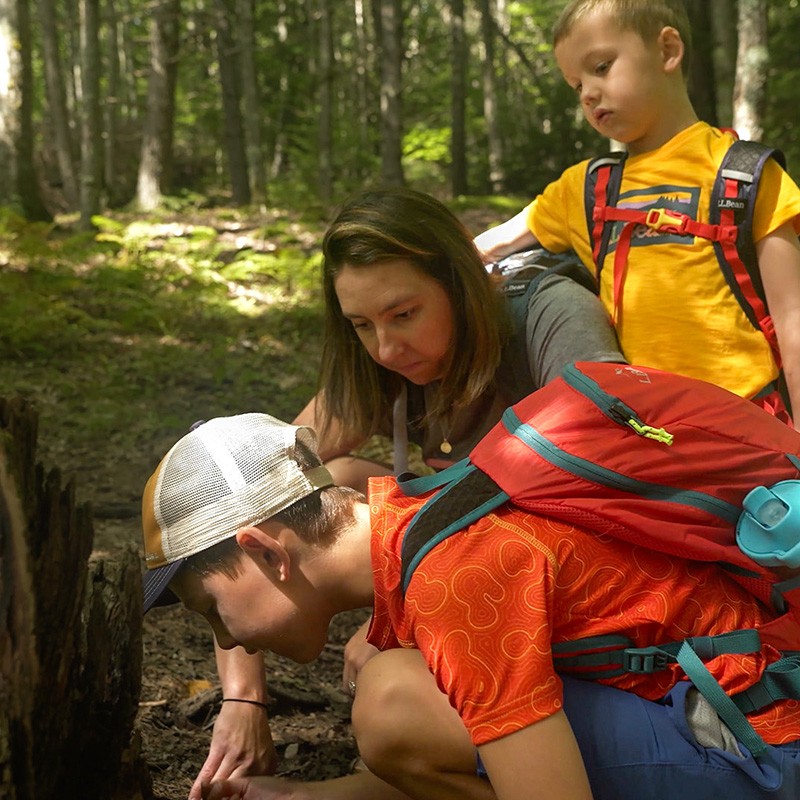 Three people with back packs are exploring a forest, closely examining something on the ground.