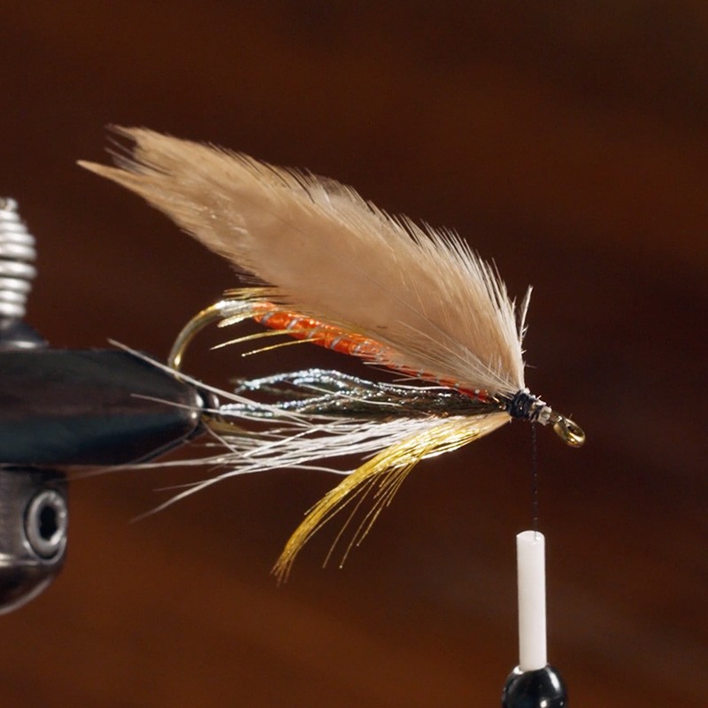 Detailed close-up of a fishing fly with feathers and metallic threads, held in place by a vise.