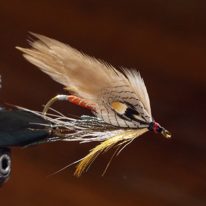 Close-up of a detailed fishing fly with feathers and thread, featuring a hook and intricate design elements.