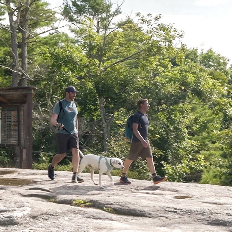 Two men walking with a dog on a rocky path surrounded by trees and greenery.